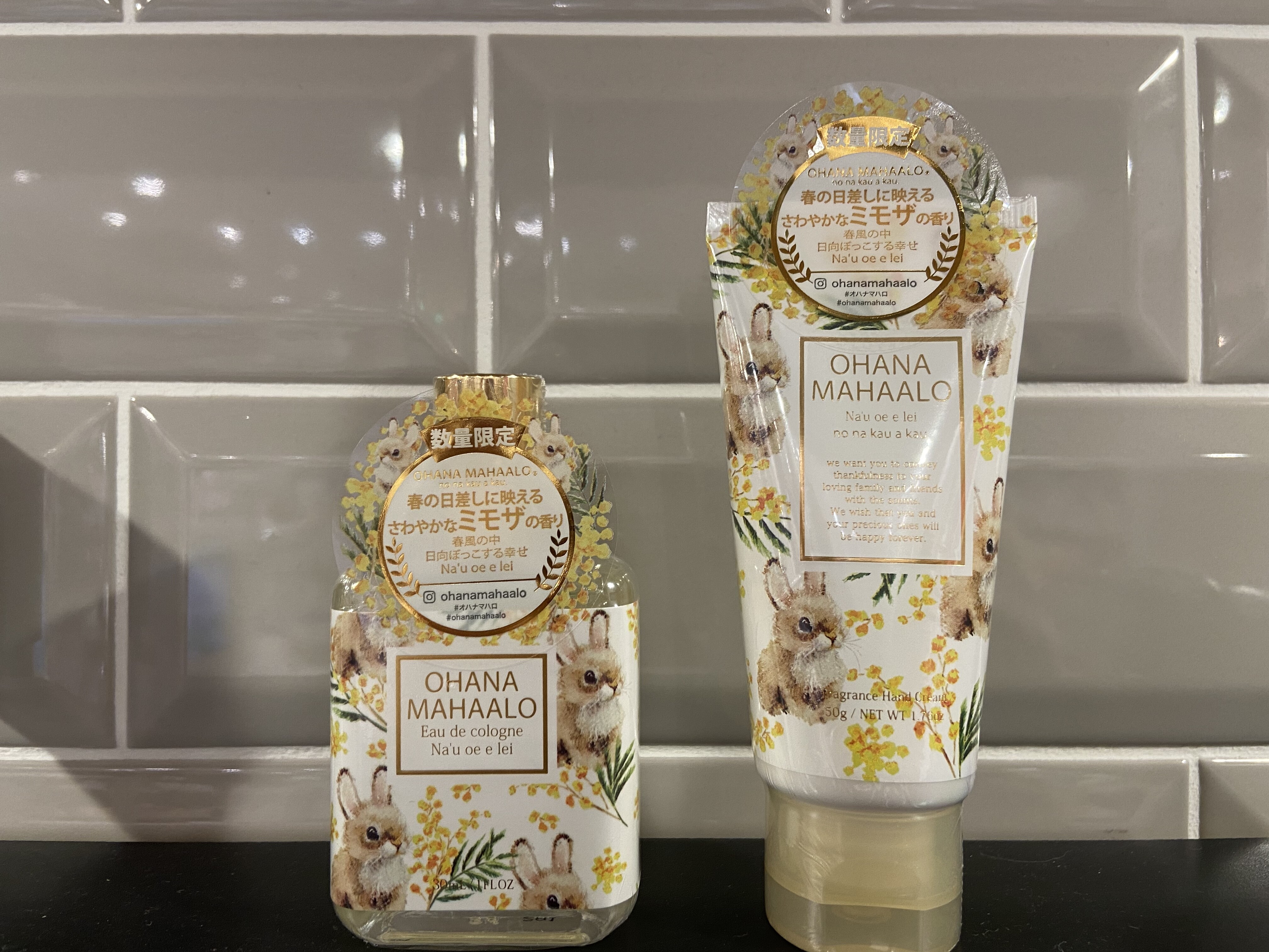 ミモザの香り登場 お茶の水サンクレール店 Shop Blog ショップイン Shop In