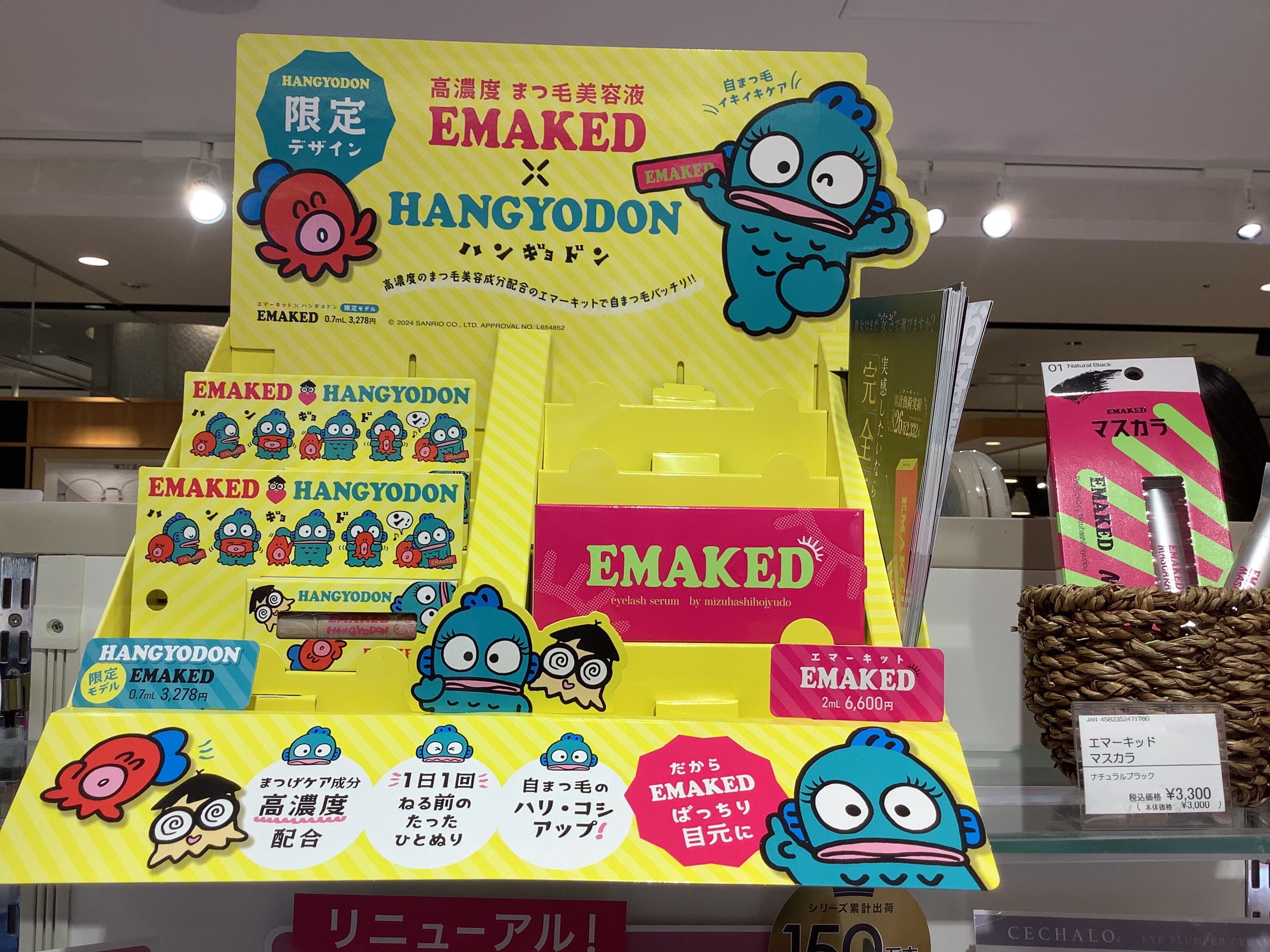 エマーキッド】限定ミニサイズ | アトレ松戸店 | SHOP BLOG | ショップイン - shop in -