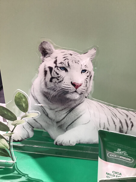 ト…トラがいる…🐯!?