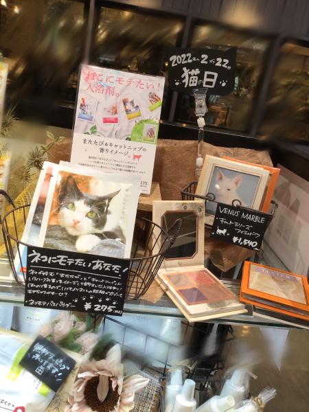 スーパーねこの日🐈