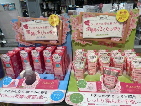 毎年恒例の桜登場!🌸