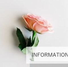 7月2日(金)~7月4日(日)の3日間限定!!