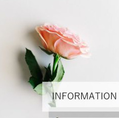 22日からの営業時間のお知らせ⭐