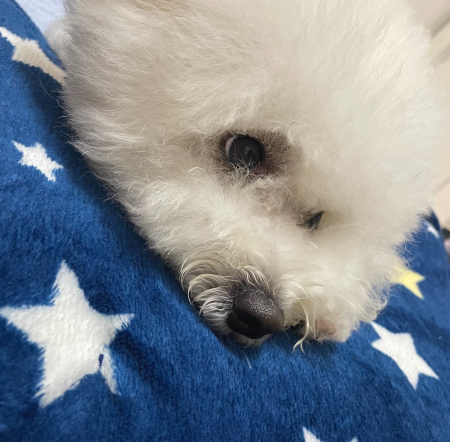 夏だからこそ使えるよ💙