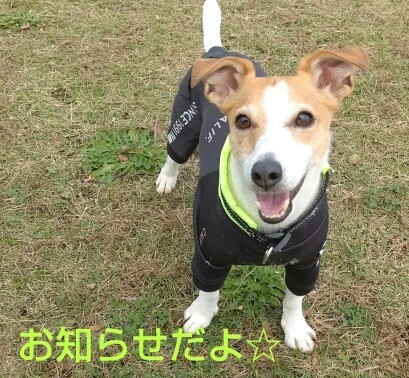 ■年末年始の営業に関して■