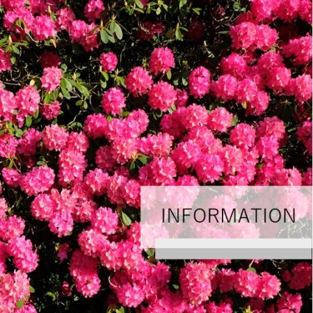 休館日のお知らせ