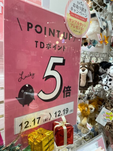 今月もポイントアップございます🎄🎁