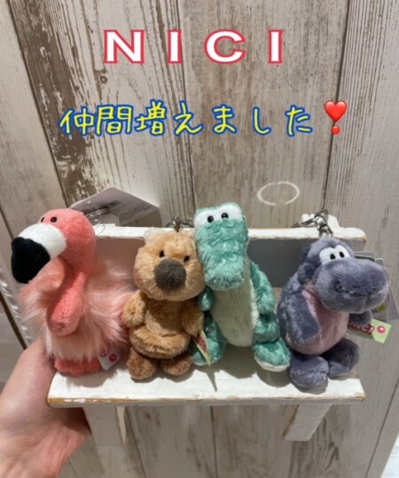新入りちゃんのご紹介