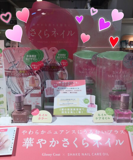 春を先取り🌸
