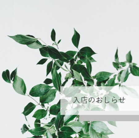 21日の入店情報👂