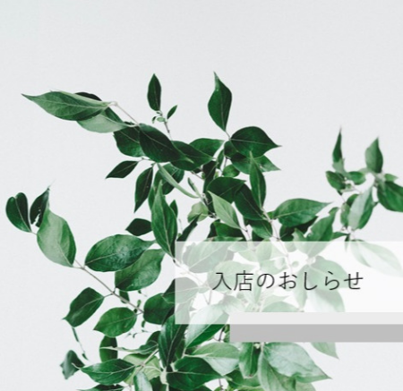 19日の入店情報👂