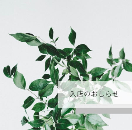 入店情報👂
