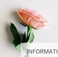 8月25日(水)ザ•キューブB2階は休館日です。