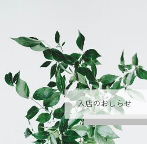 【3/8~3/14】入店情報★