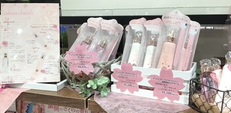 アンドエクラ🌸サクラチェリッシュ開花✨