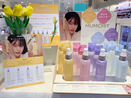 【モムチ】黄色いチューリップが目印☝️🌷