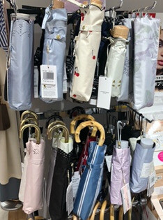 \ 日傘入荷しました☀ /
