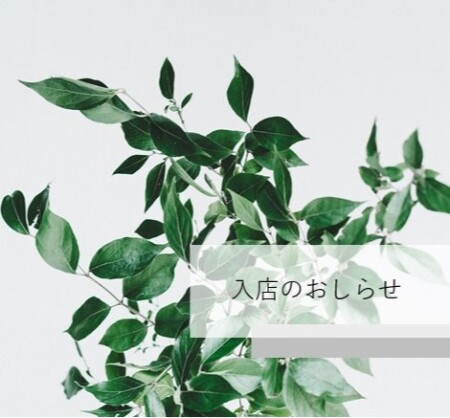 BAさん入店のお知らせ