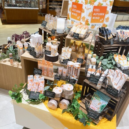 キンモクセイたーくさん入荷しております！✨