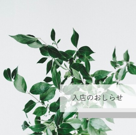 【SISI】入店のお知らせ★