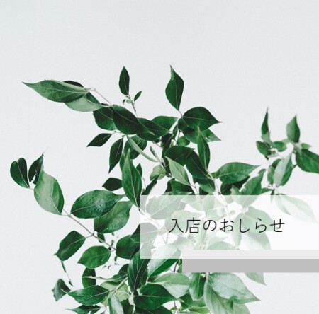 【12月】入店のお知らせ